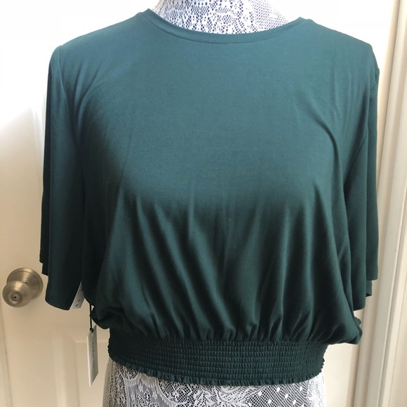 Babaton Crop Elastic Top - Picture 1 of 5